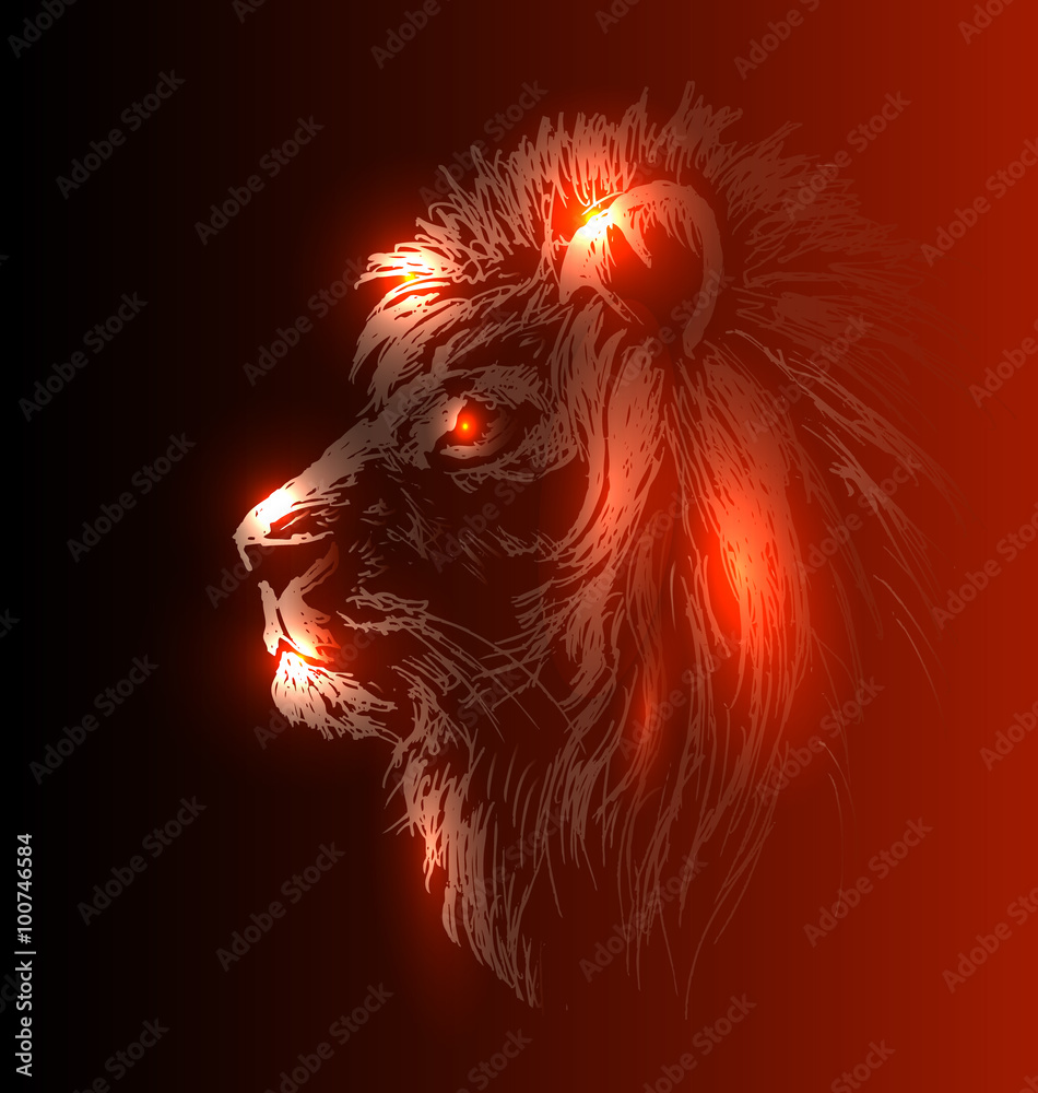 Naklejka premium Vector illustration of lion head
