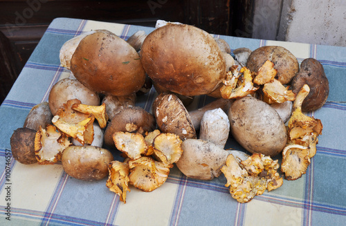 mushroom on  table