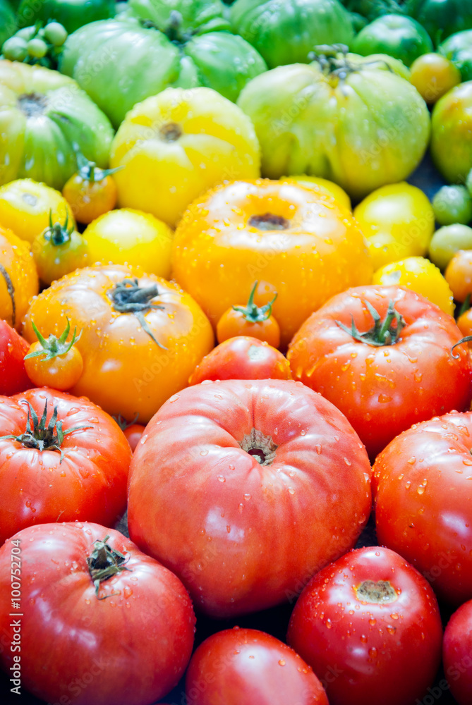 Fresh organic tomatoes Fresh organic tomatoes