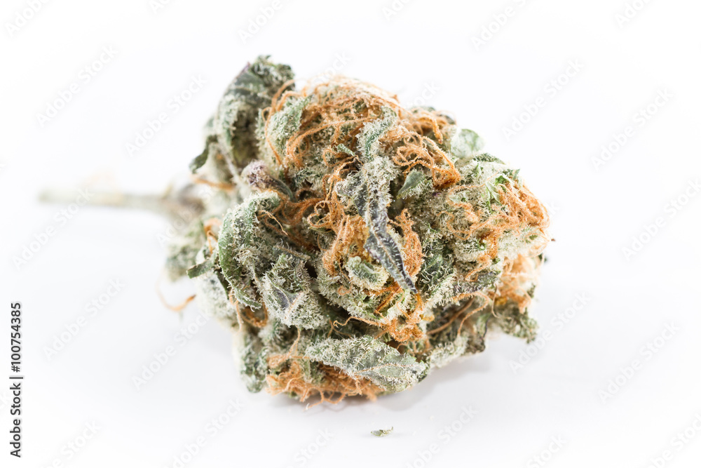 Cannabis Indica Bud (for medicinal purposes) Cannabis Indica Bud (for medicinal purposes)