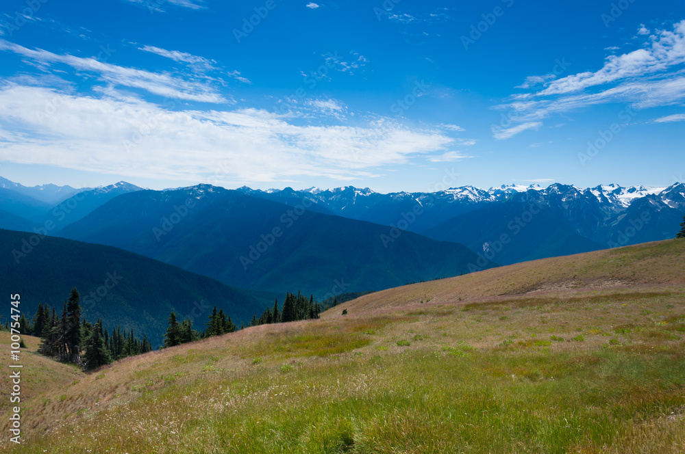 scenic view on  Hurricane Ridge Olympic National Park Washington State