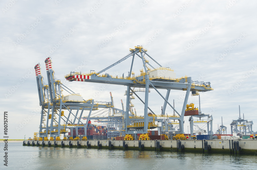 large harbor cranes