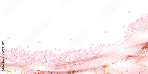 桜　春　花　背景