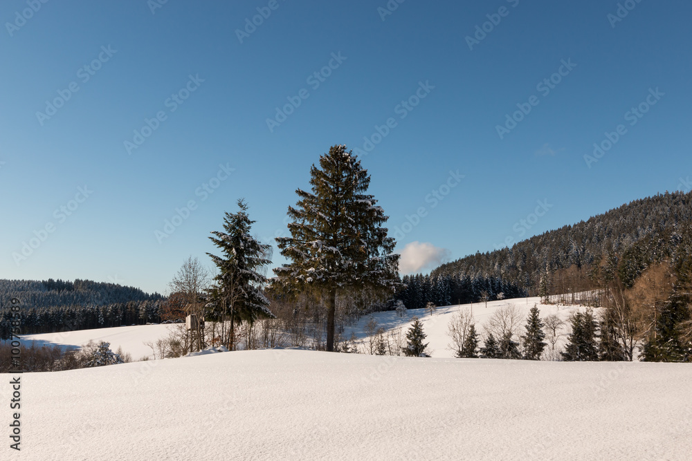 Winterlandschaft Schwarzwald