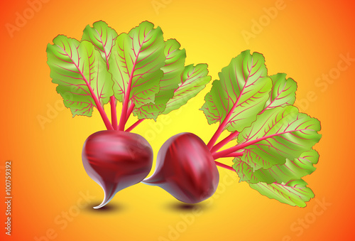 realistic vegetables beets with green leaves isolated on orange background, vector
