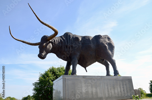 Stier von Rakvere / Estland