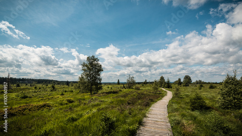 Wege und Pfade in der Hohen Venn