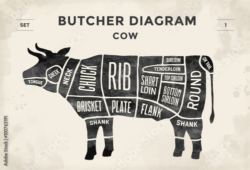 Cut of beef set. Poster Butcher diagram - Cow. Vintage typographic hand-drawn. Vector illustration.