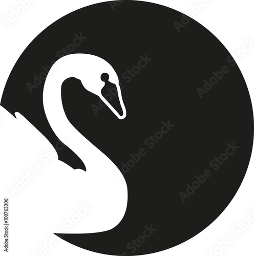 Swan silhouette in front of the moon