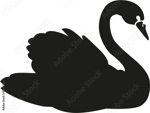 Swan