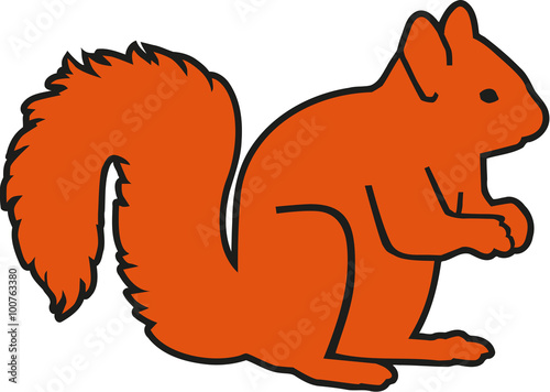 Squirrel orange with contour