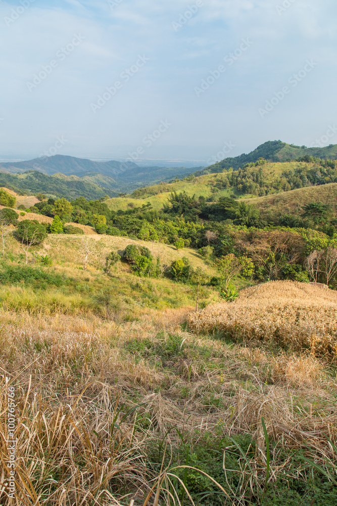 Shifting Cultivation in Northern Thailand