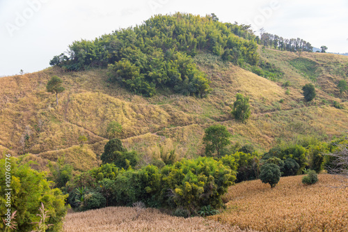 Shifting Cultivation in Northern Thailand