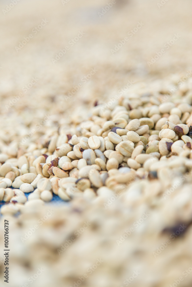 un-roasted coffee beans heap with shallow depth of field un-roasted coffee beans heap with shallow depth of field