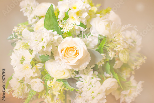 white rose soft focus, blurred background