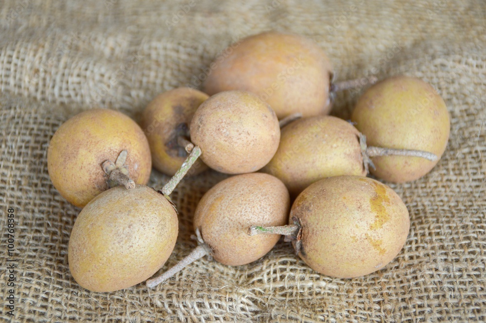 sapodilla fruit on old fabric - manilkara zapota sapodilla fruit on old fabric - manilkara zapota