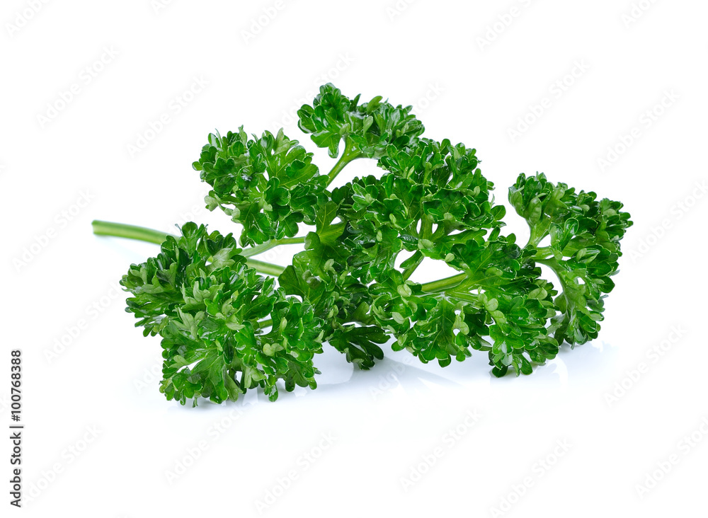 Fototapeta premium parsley isolated on white background