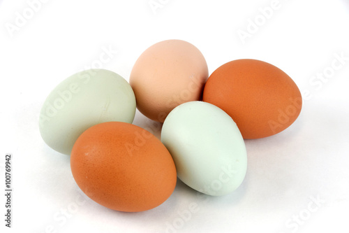 different color chicken eggs