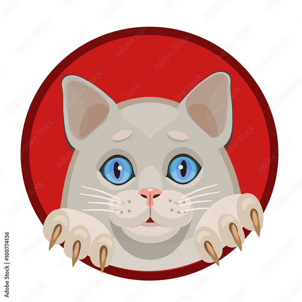 Icon white kitten/ Icon white kitten blue eyes, get out of the red circle shows the legs and claws, and the icon for the site 