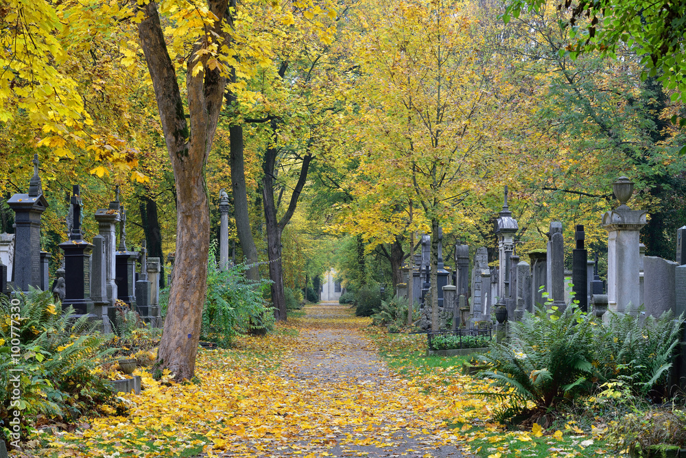 Gräber auf dem Alten Südfriedhof | München 