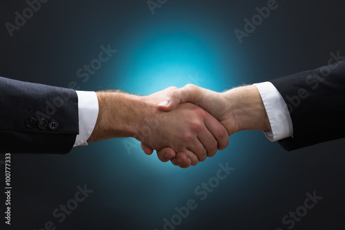 Closeup Of Businessmen Shaking Hands
