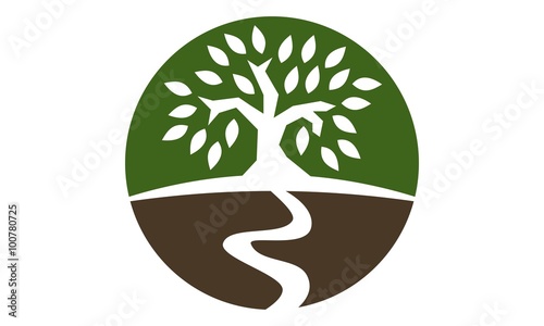 Tree Wealth Managemen