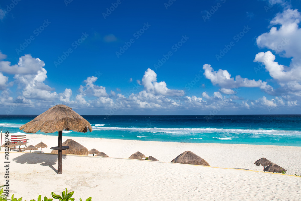 Fototapeta premium Playa Delfines