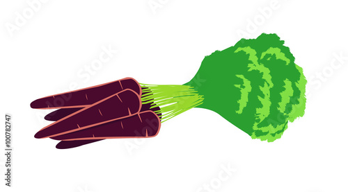 Vector image of a bunch of purple carrots with their leaves