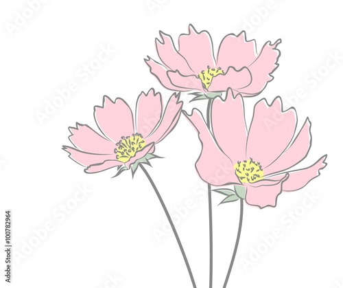 Sketch of wild flowers. 