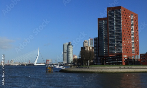 Rotterdam, Blick von Katendrecht in Richtung Stadtzentrum
