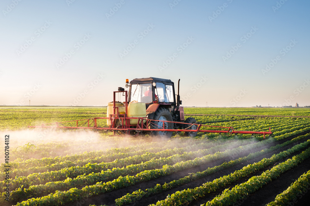 Obraz premium Tractor spraying soybean field