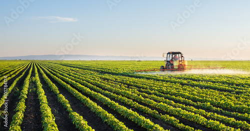 Vászonkép Tractor spraying soybean field