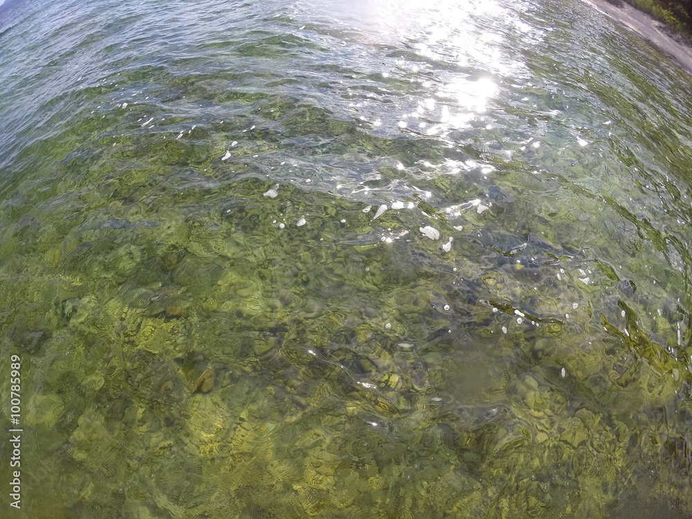Surface of the Water at a Clear Lake Surface of the Water at a Clear Lake