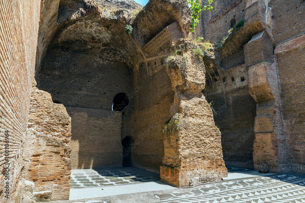 The ruins of the Baths of Caracalla. (Interior inside)