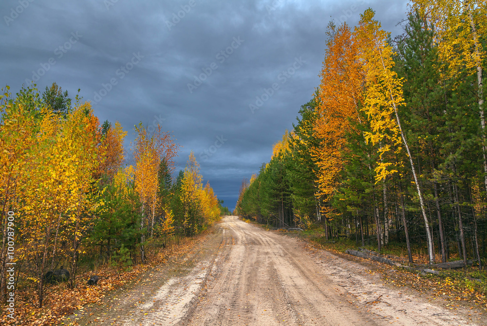 Autumn in Siberia.