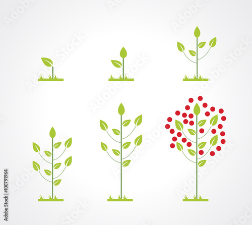 Growing tree icon set
