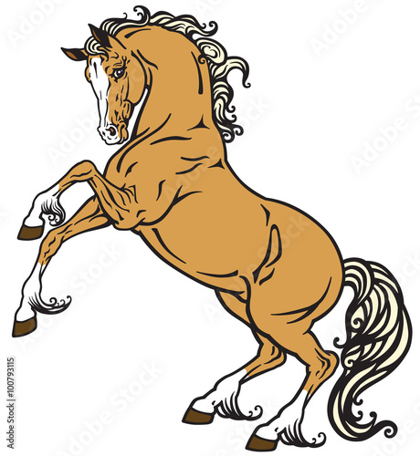 rearing horse