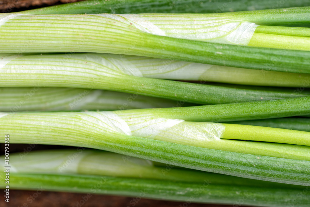 Spring Onion close up