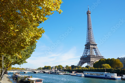 Eiffel tower and Seine river view with yellow autumn tree branch © andersphoto