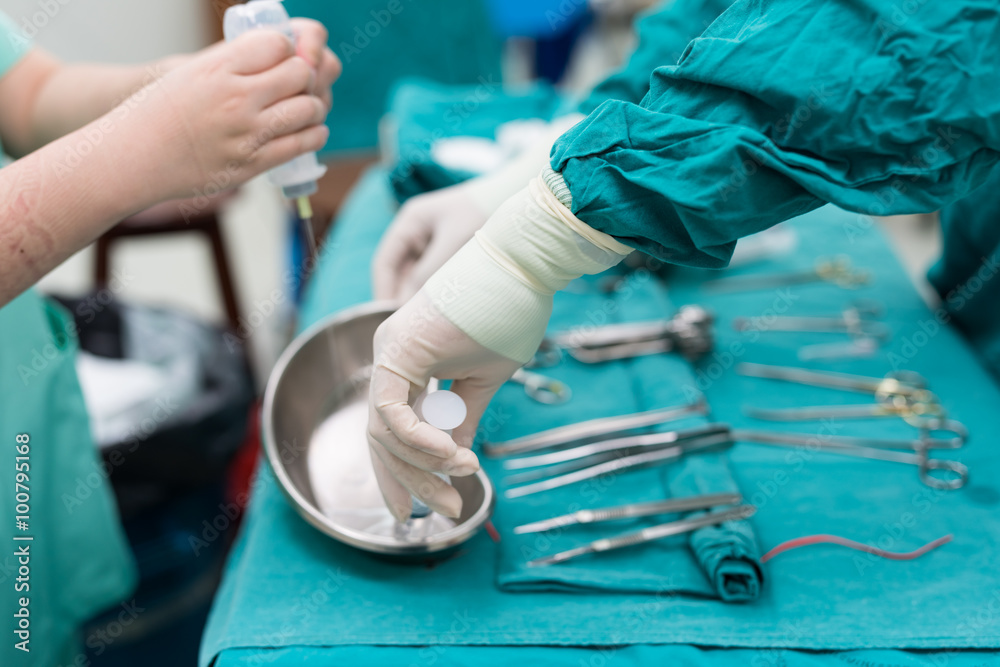 scrub nurse preparing medical instruments for operation scrub nurse preparing medical instruments for operation
