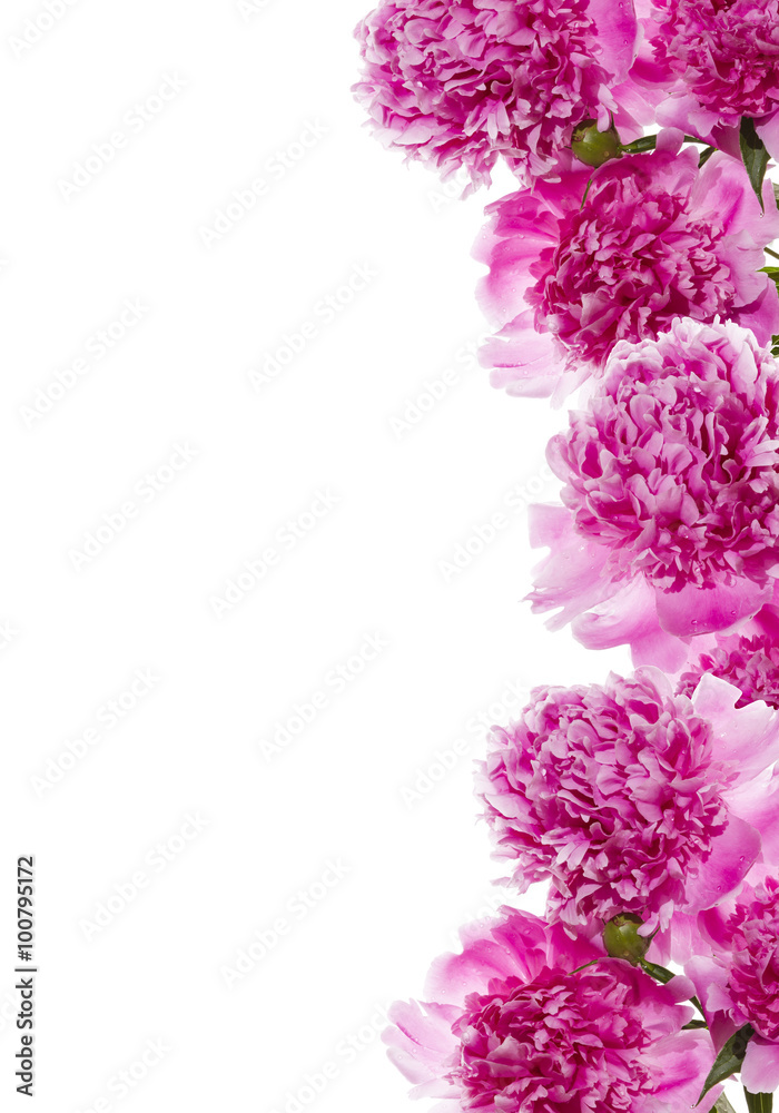 Bouquet of pink peonies. Bouquet of pink peonies.
