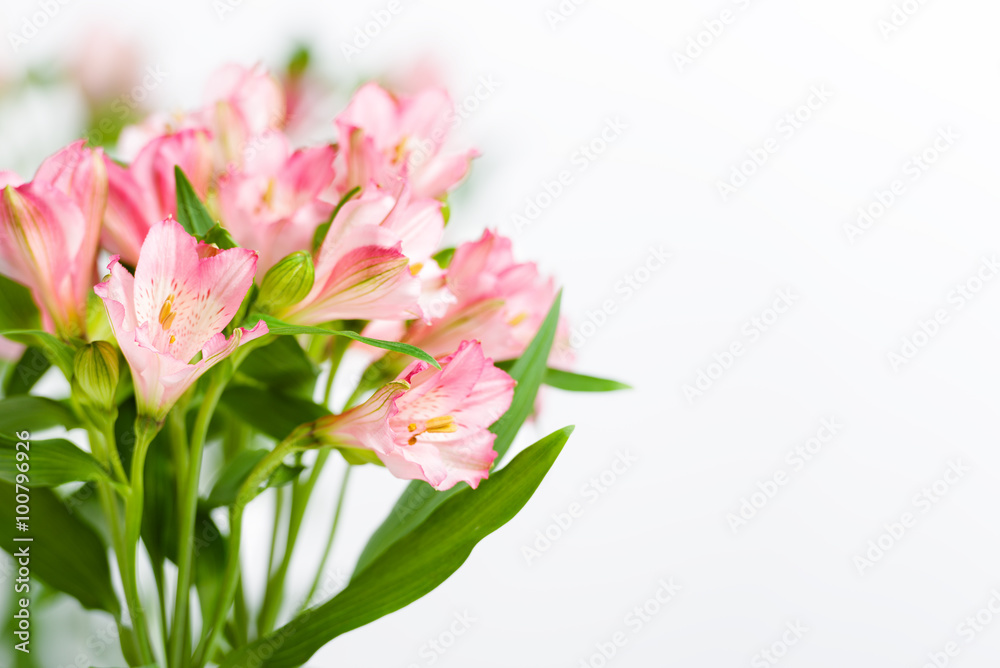 bouquet of pink alstroemeria