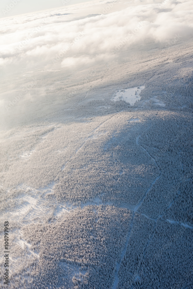 aerial view of the forest in winter time aerial view of the forest in winter time