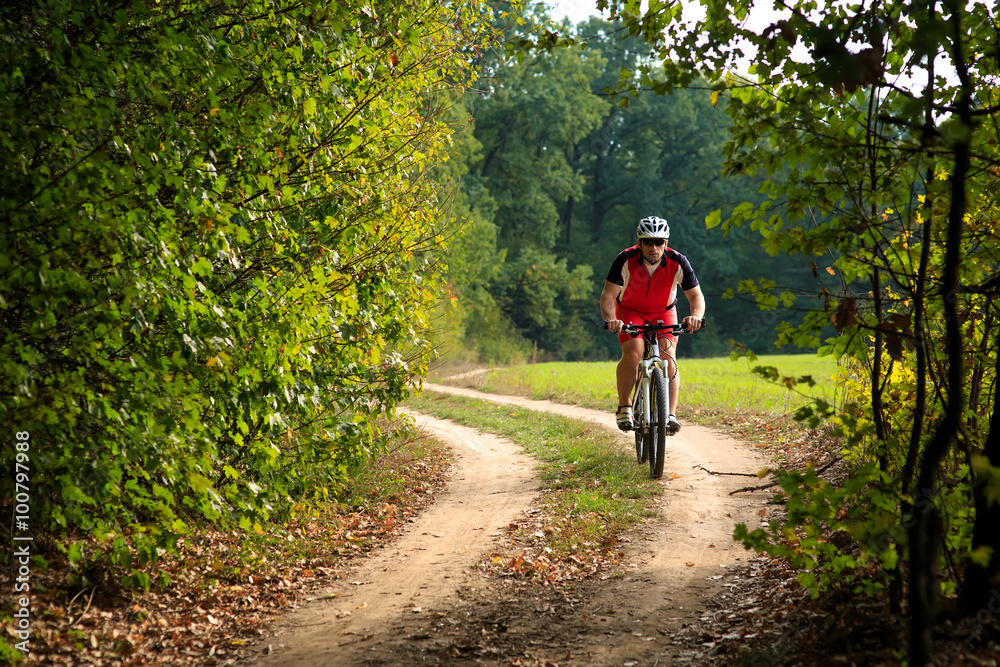 Fototapeta premium Rider on Mountain Bicycle it the forest