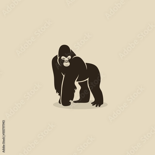 Gorilla 