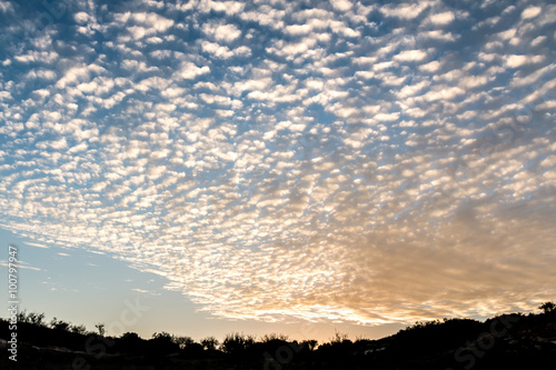 sunset in a moshav in Israel photo