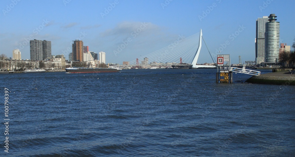 Naklejka premium Rotterdam, Blick von Katendrecht auf die Hafenstadt