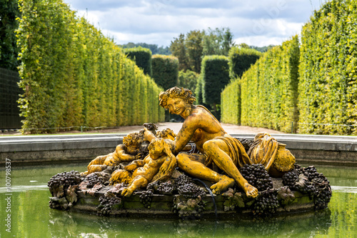 Fountain in the gardens of the Versailles Palace photo