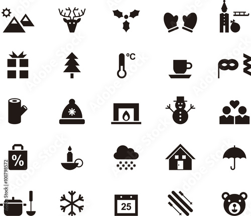 WINTER icons