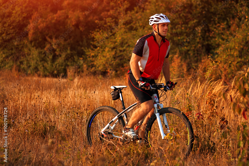 Naklejka premium Rider on Mountain Bicycle it the forest